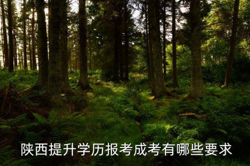  陜西提升學歷報考成考有哪些要求