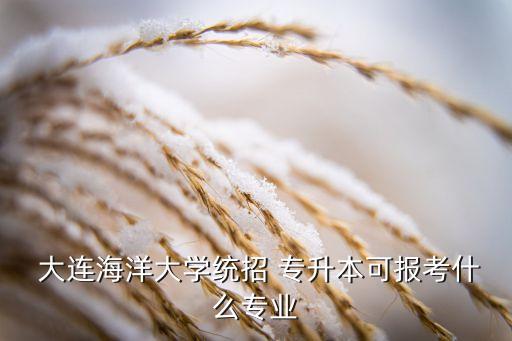  大連海洋大學(xué)統(tǒng)招 專升本可報考什么專業(yè)