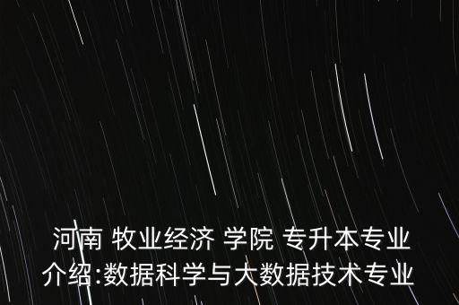  河南 牧業(yè)經(jīng)濟(jì) 學(xué)院 專升本專業(yè)介紹:數(shù)據(jù)科學(xué)與大數(shù)據(jù)技術(shù)專業(yè)