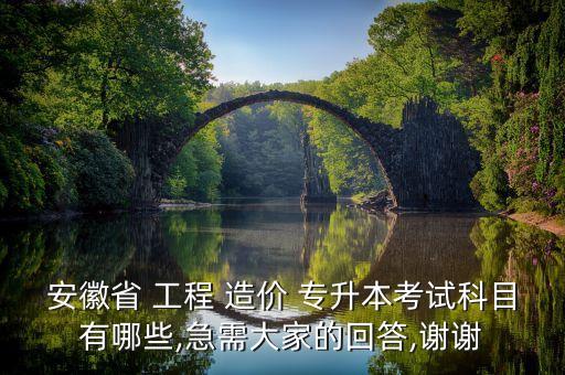 安徽省 工程 造價(jià) 專升本考試科目有哪些,急需大家的回答,謝謝