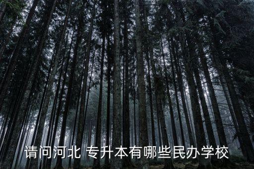 請問河北 專升本有哪些民辦學(xué)校