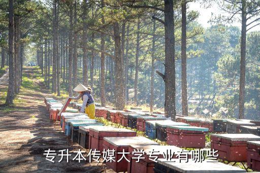  專(zhuān)升本傳媒大學(xué)專(zhuān)業(yè)有哪些