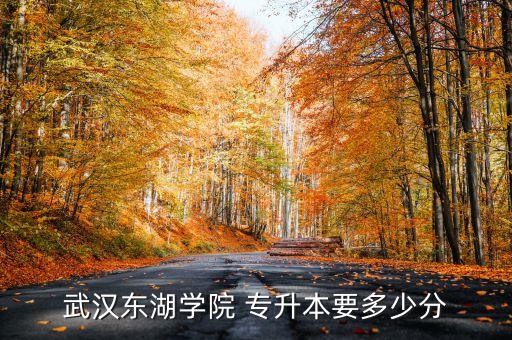 武漢東湖學院 專升本要多少分