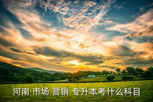 河南 市場(chǎng) 營(yíng)銷(xiāo) 專升本考什么科目