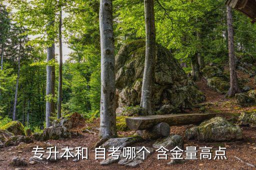  專升本和 自考哪個(gè) 含金量高點(diǎn)