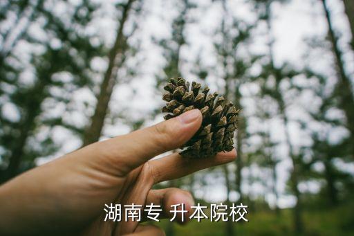 湖南專(zhuān) 升本院校