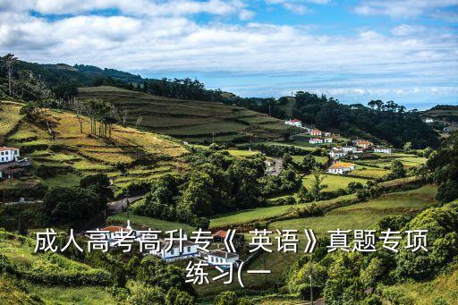  成人高考高升?！?英語(yǔ)》真題專項(xiàng)練習(xí)(一
