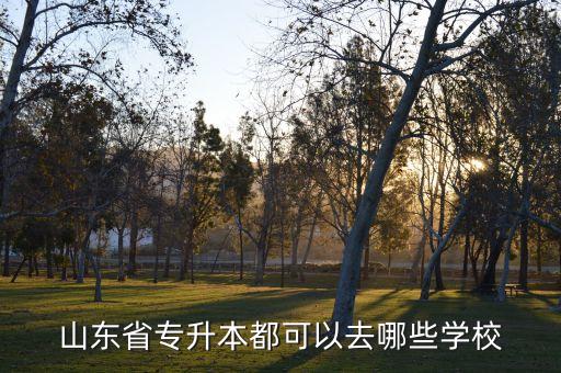 山東省專(zhuān)升本都可以去哪些學(xué)校