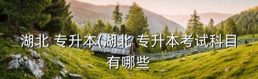 武漢輕工大學專升本英語分值