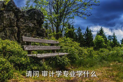 專升本名審計名詞解釋,審計業(yè)務(wù)約定書名詞解釋