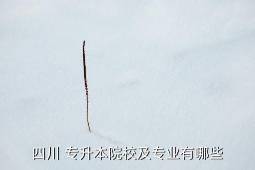 四川 專升本院校及專業(yè)有哪些