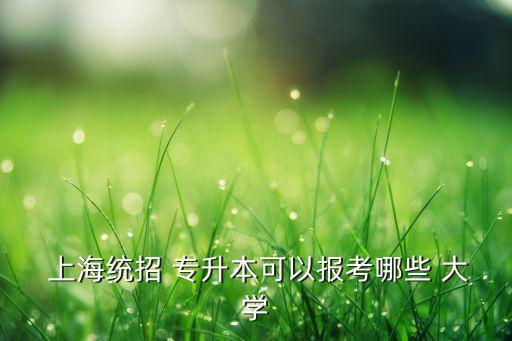  上海統(tǒng)招 專升本可以報考哪些 大學(xué)