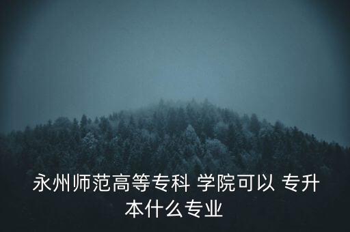  永州師范高等?？?學(xué)院可以 專升本什么專業(yè)