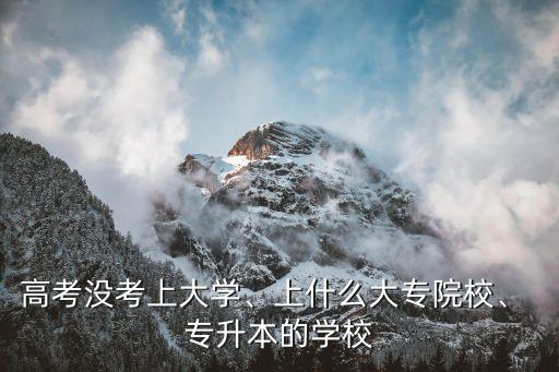 高考沒考上大學(xué)、上什么大專院校、 專升本的學(xué)校
