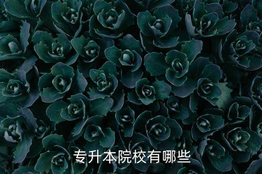  專(zhuān)升本院校有哪些