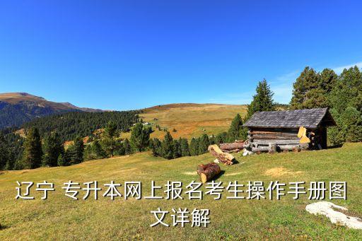 遼寧 專升本網上報名考生操作手冊圖文詳解