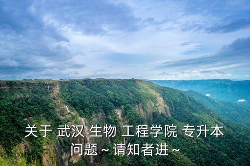 武漢生物工程學(xué)院可以專(zhuān)升本嗎