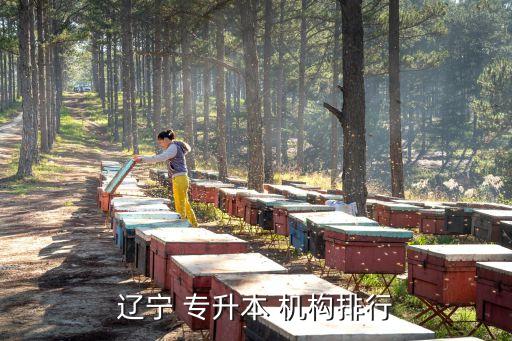 遼寧 專升本 機構(gòu)排行