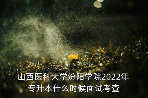  山西醫(yī)科大學(xué)汾陽(yáng)學(xué)院2022年 專升本什么時(shí)候面試考查