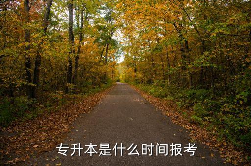  專升本是什么時間報(bào)考