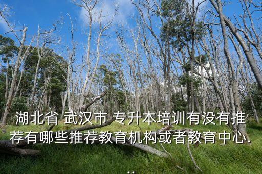 湖北省 武漢市 專升本培訓(xùn)有沒有推薦有哪些推薦教育機(jī)構(gòu)或者教育中心...