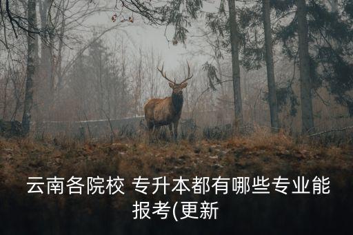 云南師范大學吧專升本