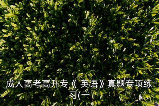 專升本成考英語(yǔ)試題,2022成考英語(yǔ)試題