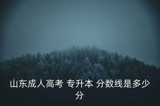 山東成人高考 專升本 分數(shù)線是多少分