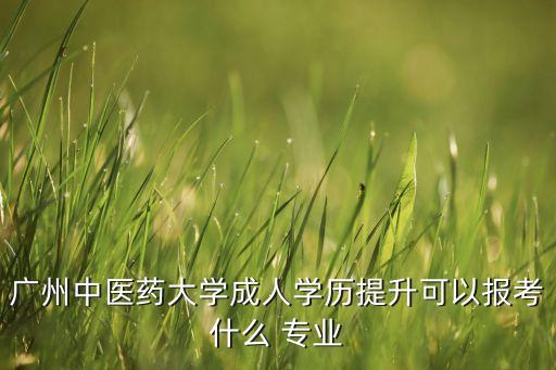 廣州中醫(yī)藥大學(xué)成人學(xué)歷提升可以報(bào)考什么 專業(yè)