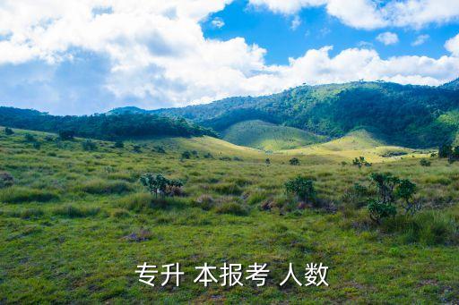  專(zhuān)升 本報(bào)考 人數(shù)
