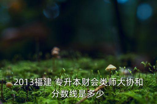 2013福建 專升本財會類師大協(xié)和分?jǐn)?shù)線是多少