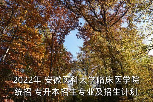 2022年 安徽醫(yī)科大學臨床醫(yī)學院統(tǒng)招 專升本招生專業(yè)及招生計劃