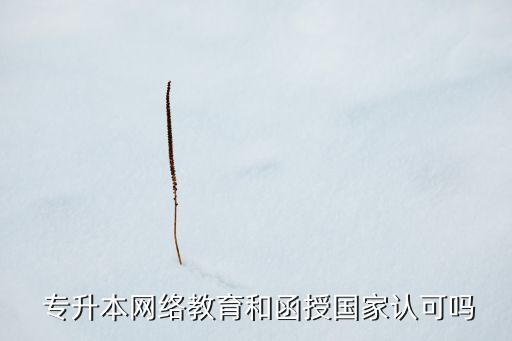  專升本網(wǎng)絡(luò)教育和函授國家認(rèn)可嗎