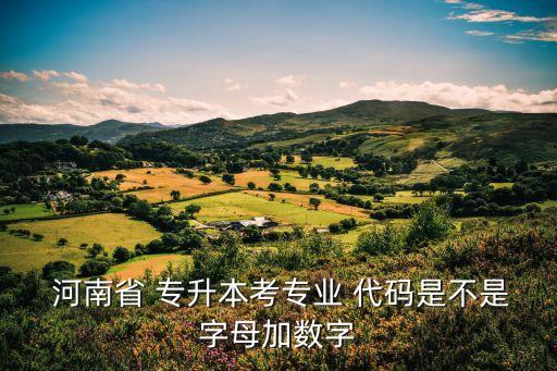 河南省 專升本考專業(yè) 代碼是不是字母加數(shù)字