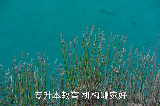 專升本的培訓機構排名,全日制專升本培訓機構