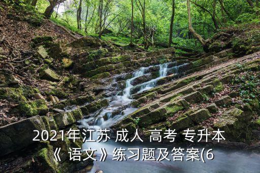 2021年江蘇 成人 高考 專升本《 語文》練習(xí)題及答案(6