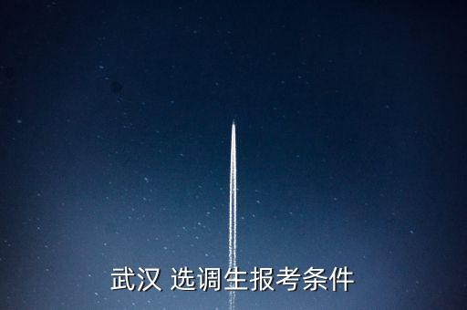 武漢 選調(diào)生報(bào)考條件