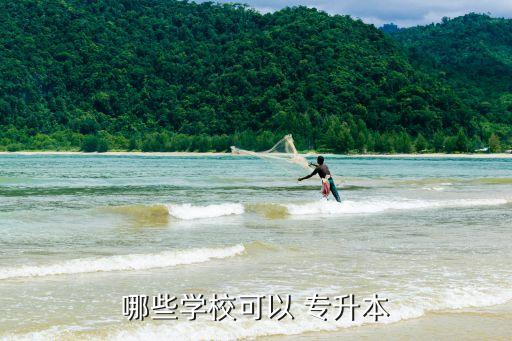 哪些學(xué)?？梢?專升本