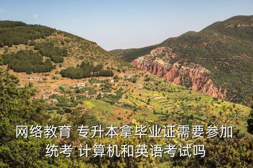 網(wǎng)絡(luò)教育 專(zhuān)升本拿畢業(yè)證需要參加 統(tǒng)考 計(jì)算機(jī)和英語(yǔ)考試嗎