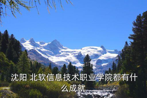  沈陽 北軟信息技術(shù)職業(yè)學(xué)院都有什么成就