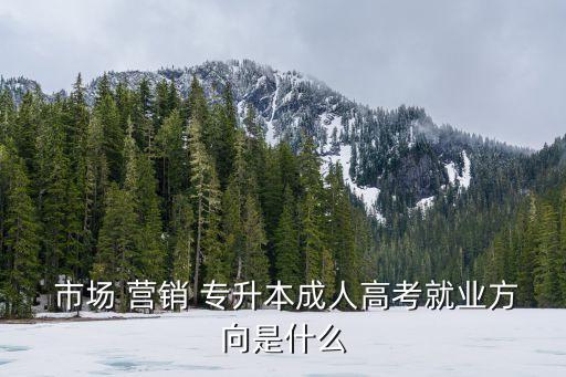  市場(chǎng) 營(yíng)銷(xiāo) 專升本成人高考就業(yè)方向是什么