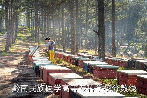  黔南民族醫(yī)學(xué)高等專(zhuān)科學(xué)校分?jǐn)?shù)線