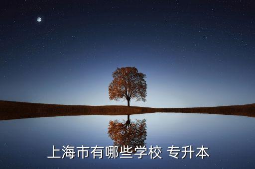  上海市有哪些學(xué)校 專升本