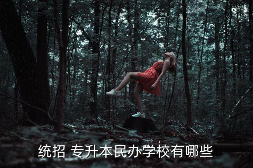 統(tǒng)招 專升本民辦學(xué)校有哪些