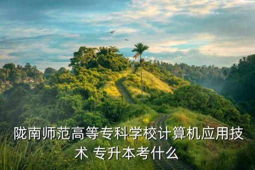  隴南師范高等?？茖W(xué)校計(jì)算機(jī)應(yīng)用技術(shù) 專升本考什么