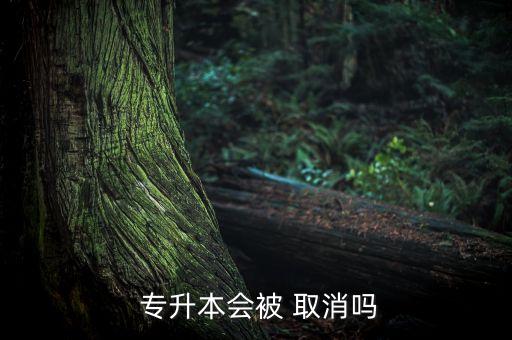  專升本會被 取消嗎