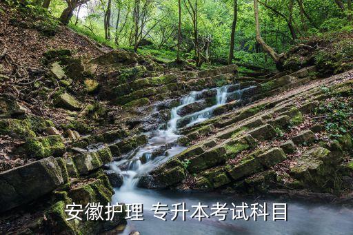 安徽護(hù)理 專升本考試科目
