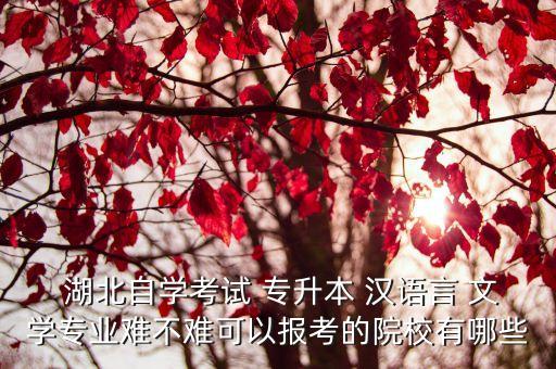  湖北自學(xué)考試 專升本 漢語(yǔ)言 文學(xué)專業(yè)難不難可以報(bào)考的院校有哪些