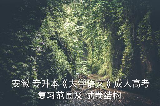  安徽 專升本《大學語文》成人高考復習范圍及 試卷結(jié)構(gòu)