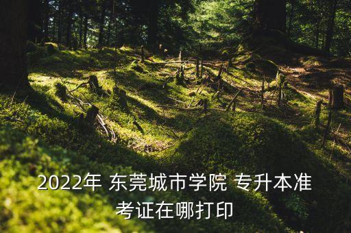 2022年 東莞城市學院 專升本準考證在哪打印